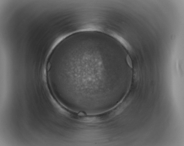 X0000115821468200911201435