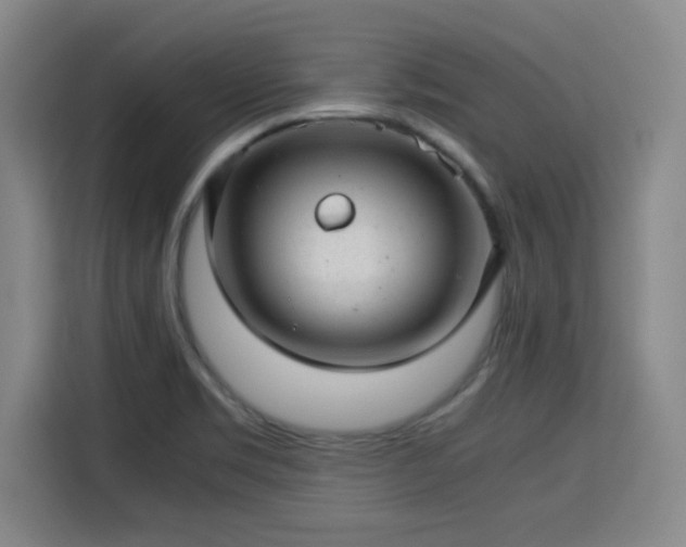 X0000115821469200911201435