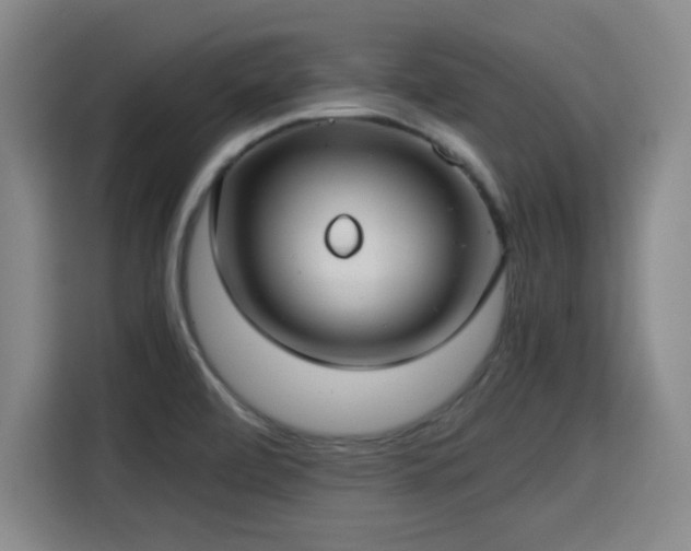 X0000115821472200911201435