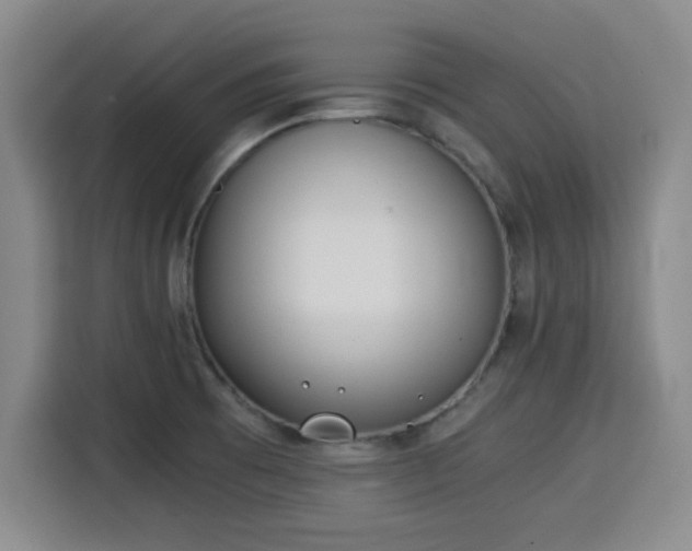 X0000115821473200911201435