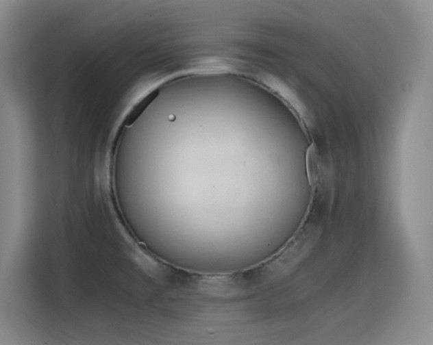 X0000115821477200911201435