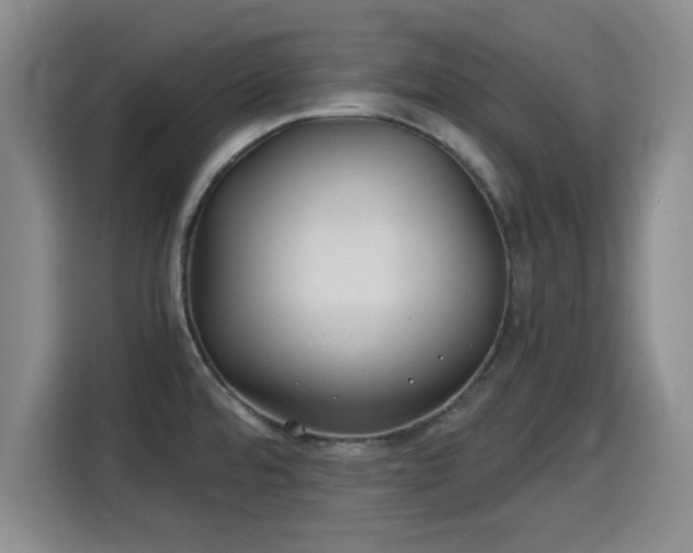 X0000115821480200911201435