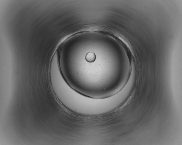 X0000115821481200911201435