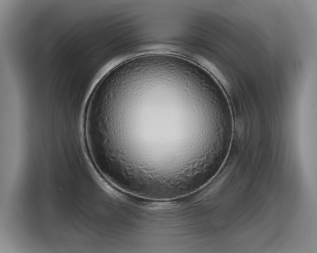 X0000115821482200911201435