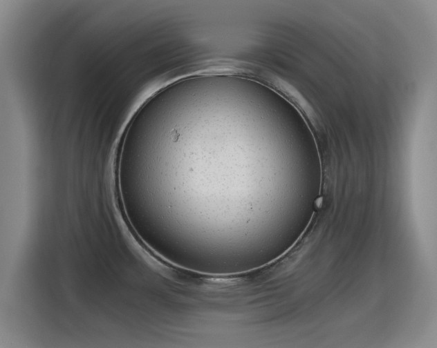 X0000115821483200911201435