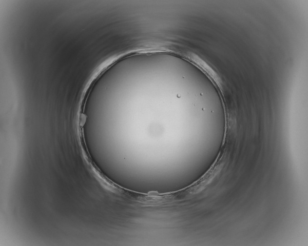 X0000115821485200911201435