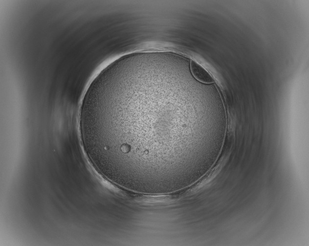 X0000115821486200911201435