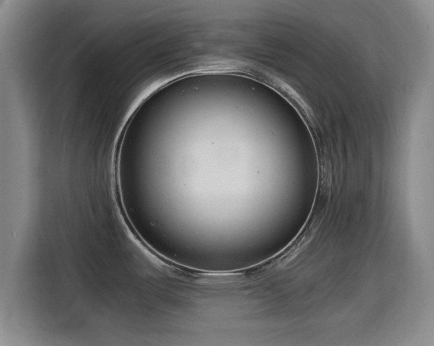 X0000115821487200911201435