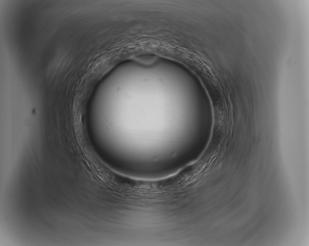 X0000115821489200911201434