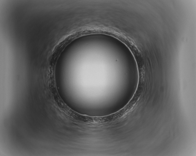 X0000115821494200911201434