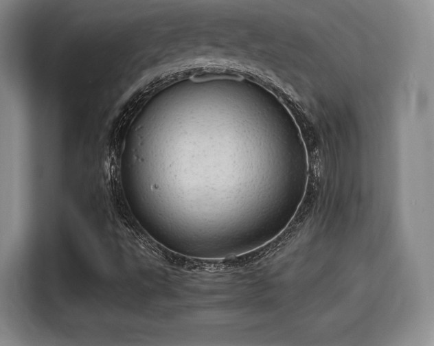 X0000115821495200911201434