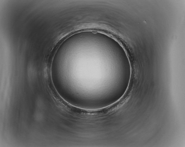 X0000115821497200911201434