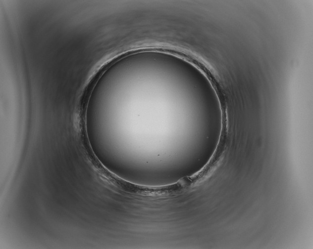 X0000115821501200911201434