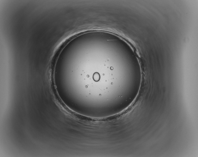 X0000115821503200911201434