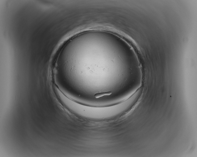 X0000115821506200911201434