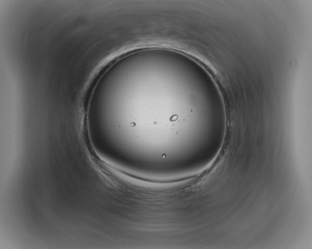 X0000115821507200911201434