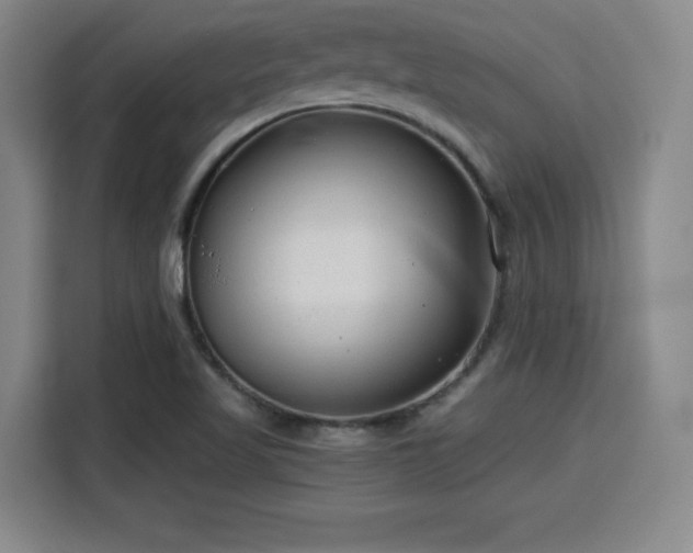 X0000115821509200911201434