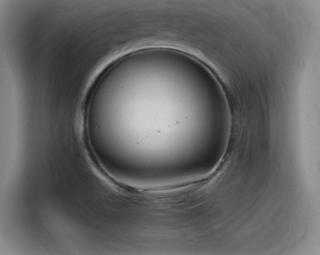 X0000115821511200911201435