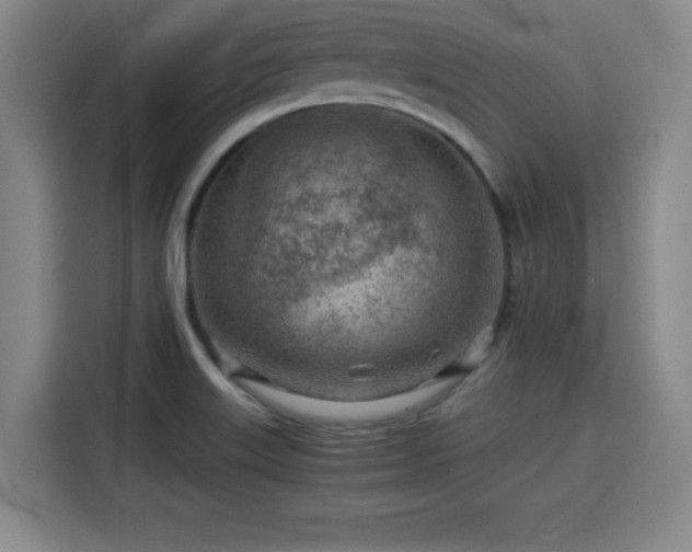 X0000115821515200911201435