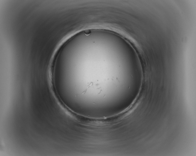 X0000115821517200911201435