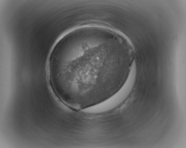 X0000115821522200911201435