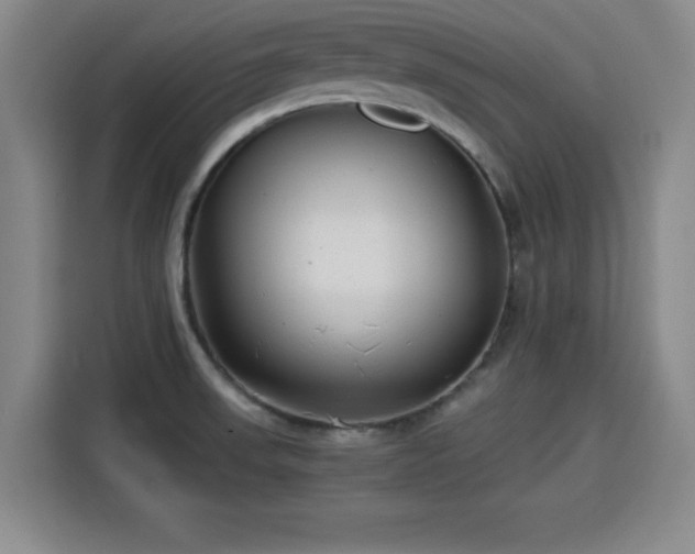 X0000115821523200911201435