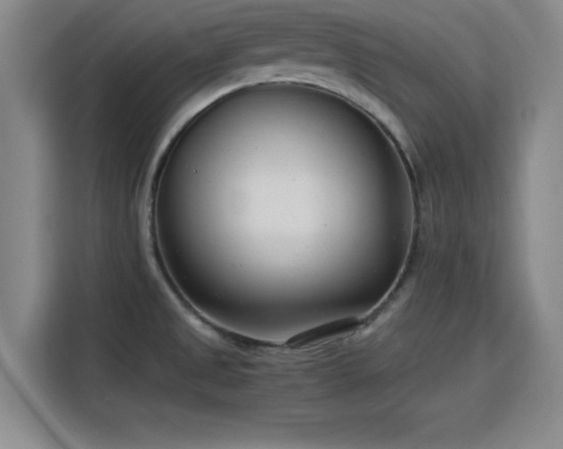 X0000115821525200911201435