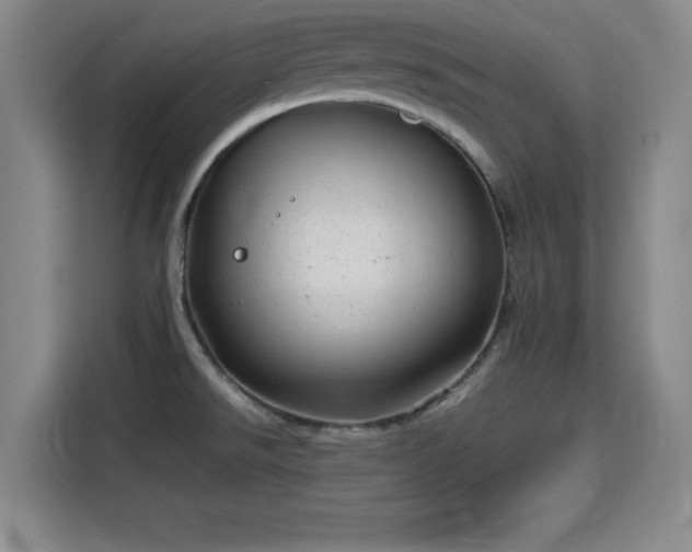 X0000115821526200911201435