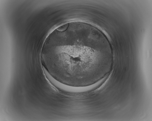 X0000115821529200911201435