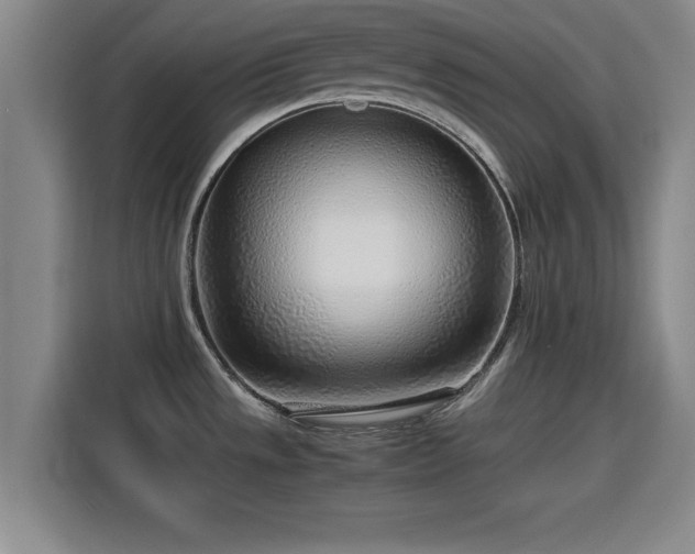 X0000115821533200911201435