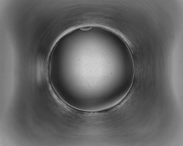 X0000115821534200911201435