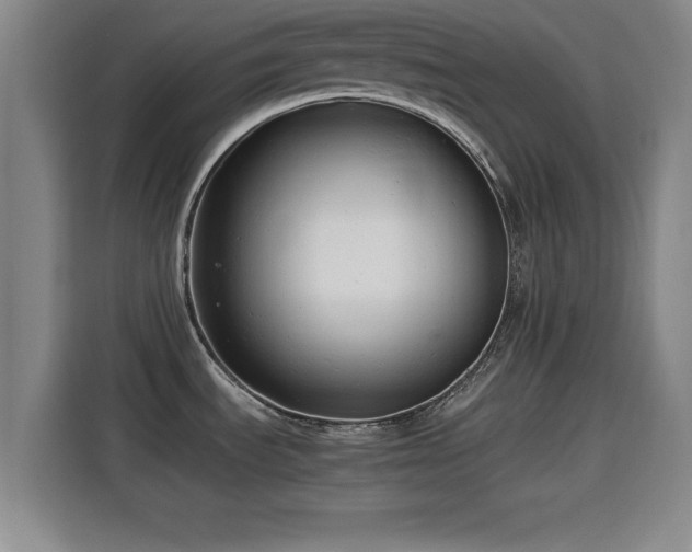 X0000115821535200911201435