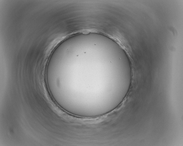 X0000115820001200911271147