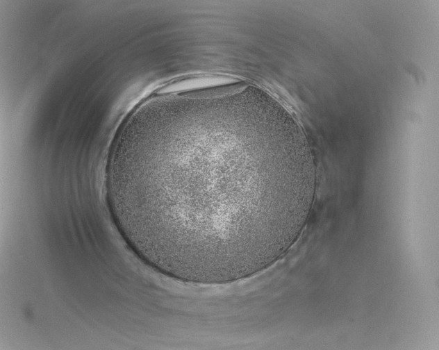 X0000115820002200911271147