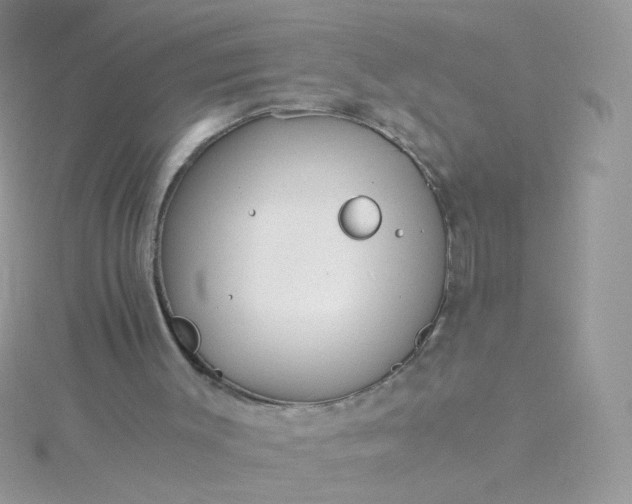 X0000115820003200911271147