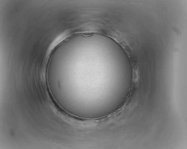 X0000115820004200911271147