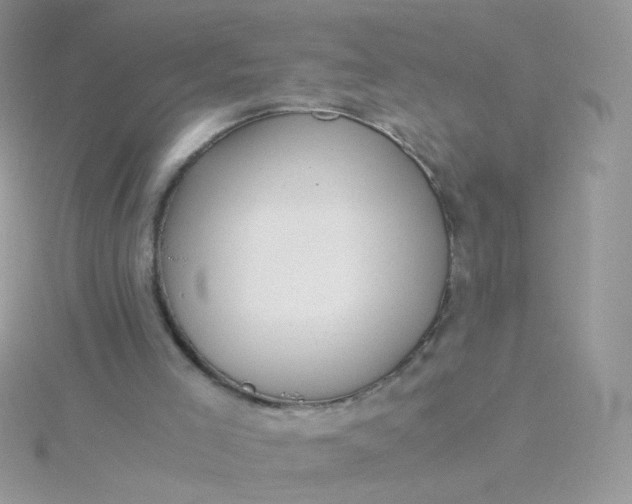 X0000115820005200911271147