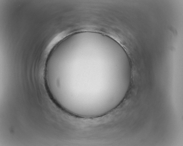 X0000115820007200911271147