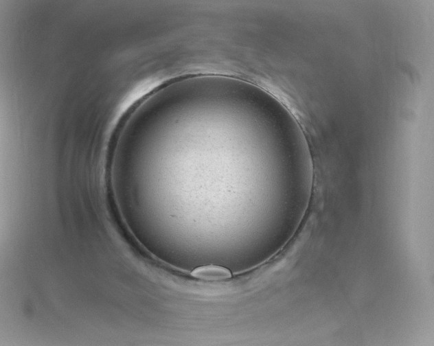 X0000115820008200911271147