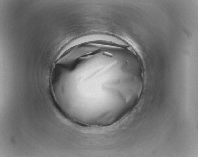 X0000115820009200911271147