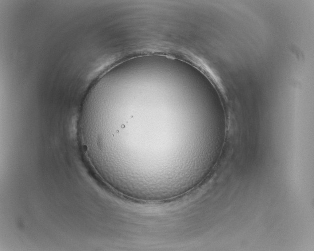 X0000115820010200911271147