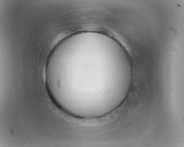 X0000115820011200911271147