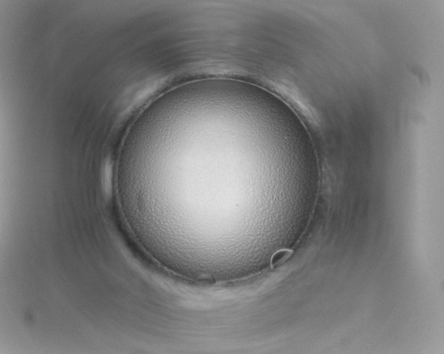 X0000115820014200911271147