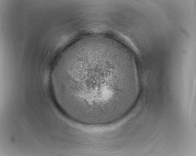 X0000115820018200911271147