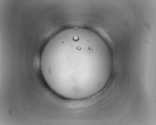 X0000115820021200911271147