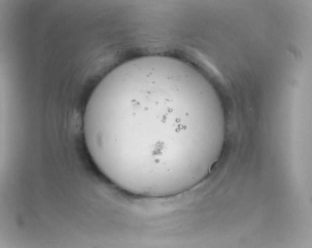 X0000115820025200911271147