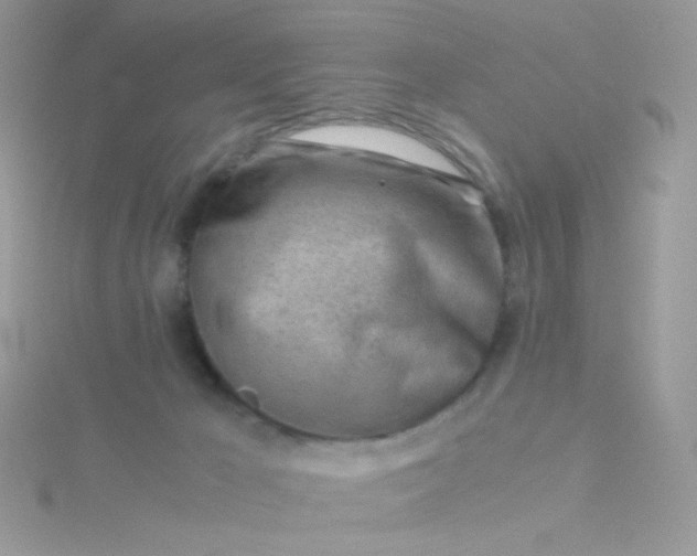 X0000115820029200911271147