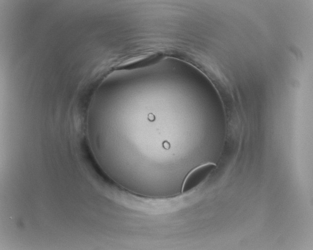 X0000115820031200911271147