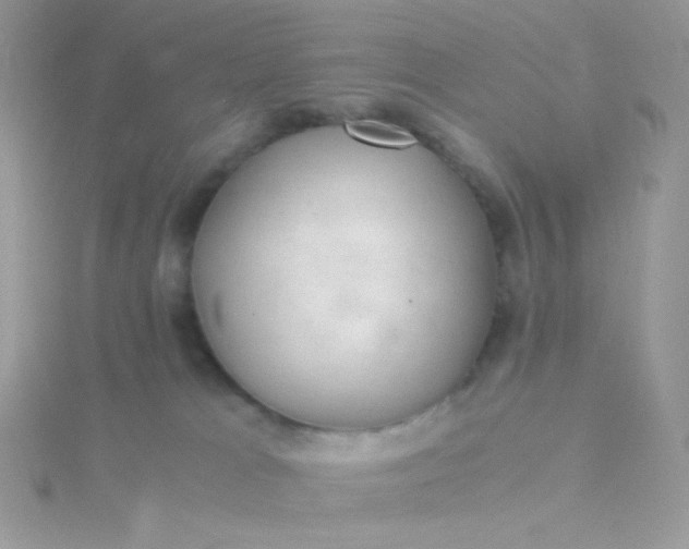 X0000115820037200911271147