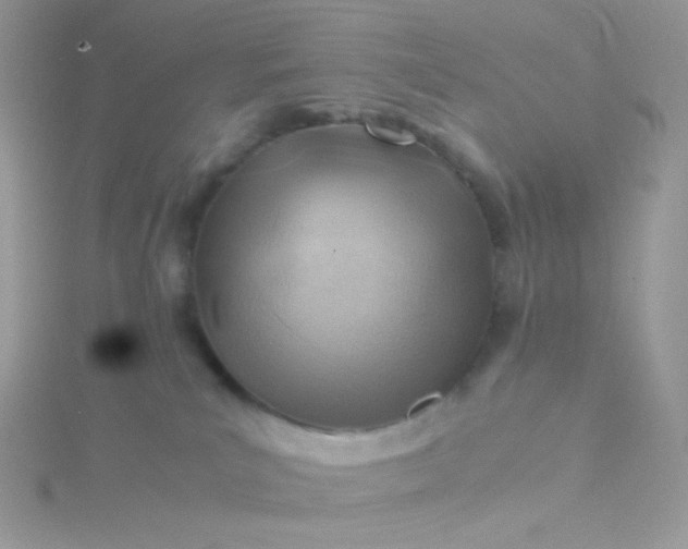 X0000115820039200911271147